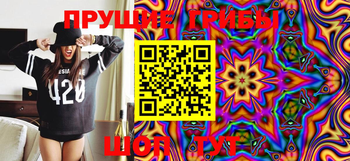 Галлюциногенные грибы Psilocybine cubensis  Вход с VPN  Полевской 