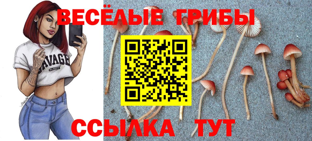 ГАШИШ Полевской